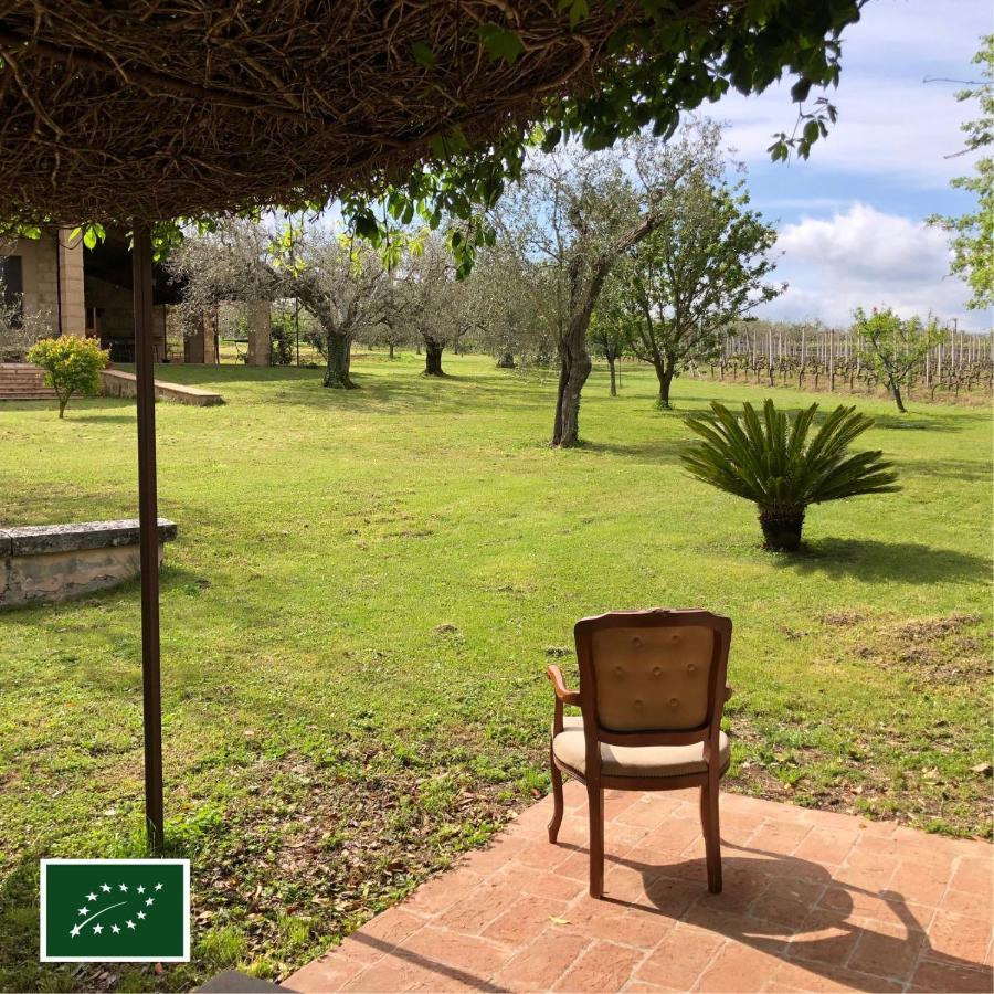 Agriturismo Eco-Bio Villa Vacasio Pitigliano Exterior foto